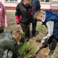 Акция “Посади дерево”