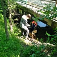 Вода России