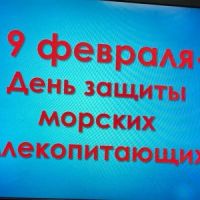 День защиты морских млекопитающих