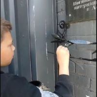 Чистая память