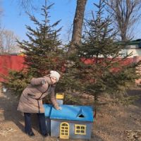 Прогулка в парк