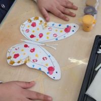 Узоры на крылышках