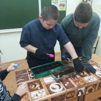 Проект «Витамины на окошке»