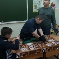 Проект «Витамины на окошке»