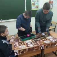 Проект «Витамины на окошке»
