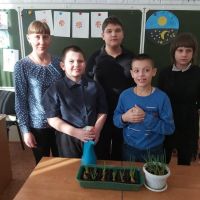 Проект «Витамины на окошке»