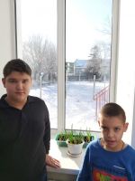 Проект «Витамины на окошке»