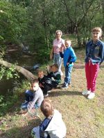 Уроки мира и Дни здоровья