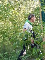 Уроки мира и Дни здоровья