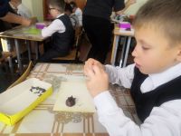 Открытое занятие во 2б классе по ручному труду