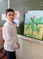 Классный час “Родина моя- Приморский край”