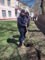 Акция “Посади дерево”