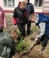 Акция “Посади дерево”