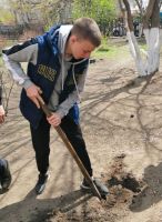 Акция “Посади дерево”