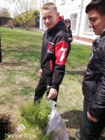 Акция “Посади дерево”