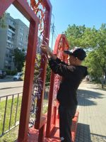Акция “Сила V правде”