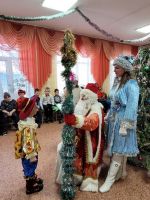 Чудеса у новогодней елки