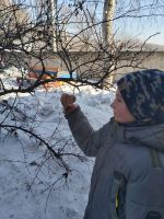 Каждой птице по кормушке