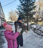 Каждой птице по кормушке
