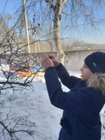 Каждой птице по кормушке