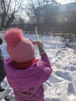 Каждой птице по кормушке