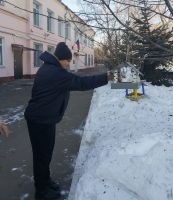Каждой птице по кормушке