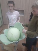 Сказку создаем мы сами