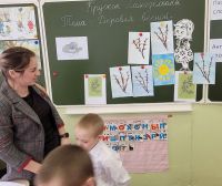 Апрельская веточка вербы