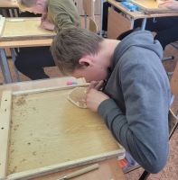 Школьный абилимпикс
