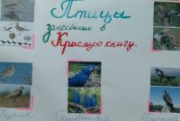 Птицы
