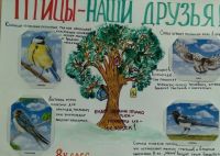 Птицы