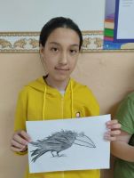 Птицы
