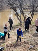 Вода - великое чудо природы