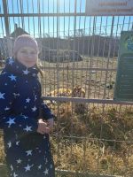 Экскурсия в парк “Белый лев”