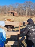 Экскурсия в парк “Белый лев”