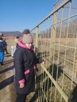 Экскурсия в парк “Белый лев”