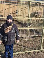 Экскурсия в парк “Белый лев”