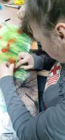 Волшебство своими руками. Шерстяная акварель