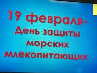День защиты морских млекопитающих 