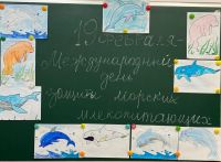 День защиты морских млекопитающих 