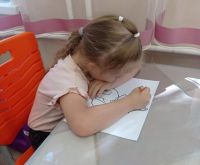 Без кота и жизнь не та