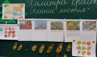 Краски осени