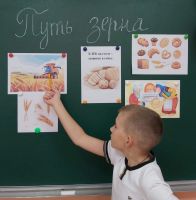 Путь зерна