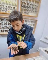 Экскурсия в Приморский ГАТУ