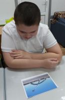 Год защитника Отечества