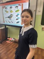 Пластилиновая синичка