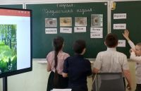 Предметная неделя “Всезнайка”
