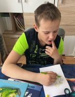 Одуванчик золотой, наш любимый, полевой