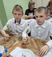 Подснежник - улыбка весны