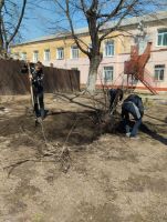 САД ПАМЯТИ: 80 ЛЕТ ПОБЕДЫ